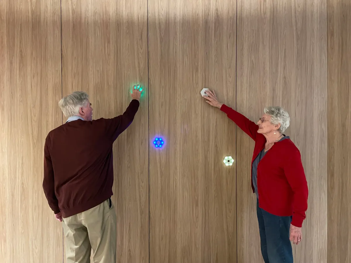 Participant using Bryta device with AHPRA-registered physiotherapist